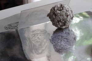 Y1_beneathTest_ofRebecca2