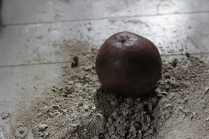 Y2_beneathTest_Exoticobject