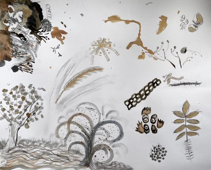 an ink drawing in muted colours showing plant  and other forms 