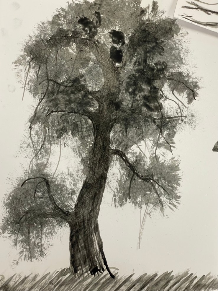A drawing of a tree by made with ink from an Oak tree by a student