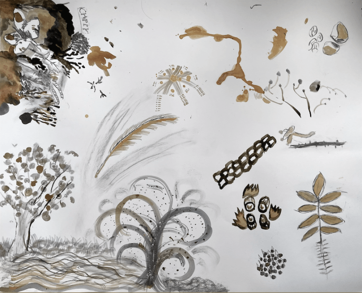 a photo of a drawing of various plant forms in ink
