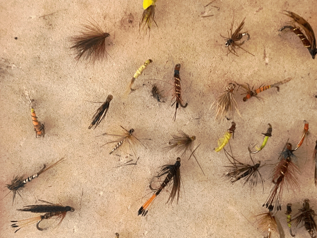 a close up photo of the foam interior of a box of and tied fishing flies