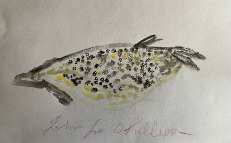 water colour painting on paper of a fish