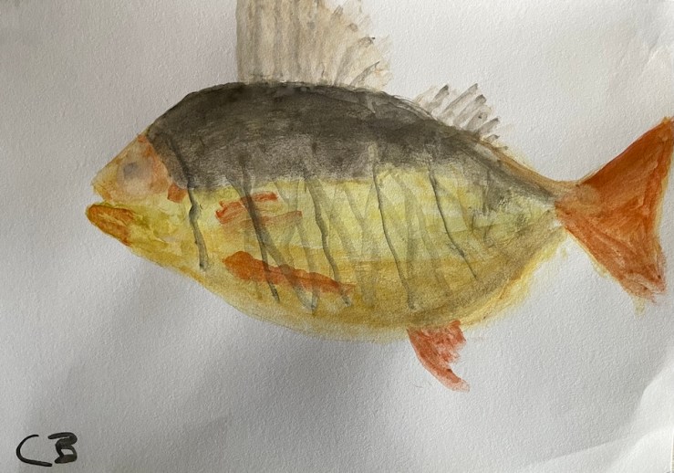 water colour painting on paper of a fish