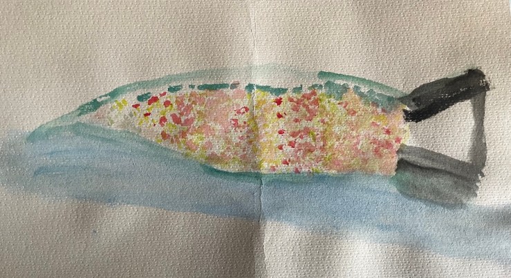 water colour painting on paper of a fish